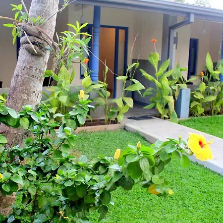 Morning Star Resorts-3